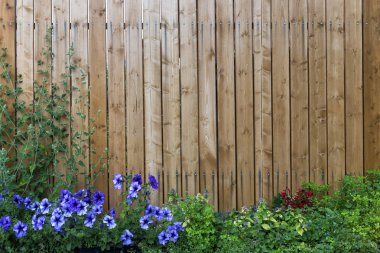 Yeşil ve mor çiçeklerbir çerçeve içinde ahşap çit