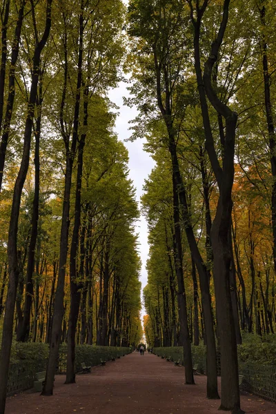 Aleja Letny Sad Petersburg Rosja Jesienny Park Drzewami Żwirowa Ścieżka — Zdjęcie stockowe