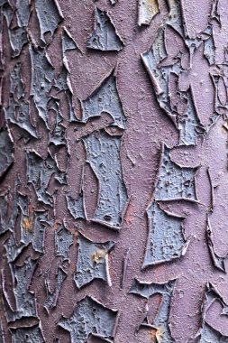 Metal bir yüzeyde kuru boya kalıntıları. Seçici odak.