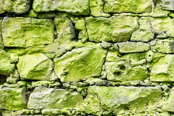 Blocos Pedra Paredes Cobertas Com Líquen Verde — Fotografia de Stock