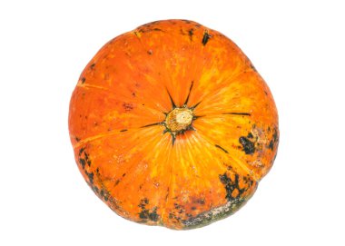 Bir portakal kabağı beyaz tepede izole edilmiş.