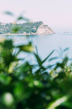 Deniz ve dağ ön planda yaprakları ile bir görünüm.