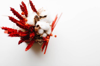 Closeup ikebana beyaz zemin üzerine