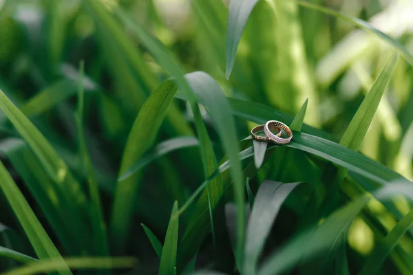 Wedding Rings Photographed Grass — Stock Photo, Image