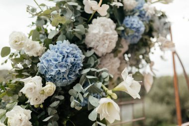 Düğün ark bir parçası olarak closeup mavi ve beyaz ortanca