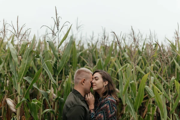 Pareja Joven Enamorada Parada Fondo Del Campo Maíz Abrazando Historia —  Fotos de Stock