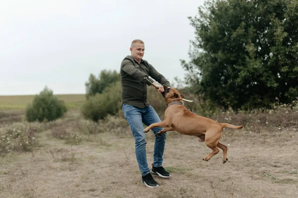 Doğada bir adam köpeğe yaban domuzu yedirmeyi öğretiyor. İnsan ve köpek. Köpekli adam. Yüksek kalite fotoğraf