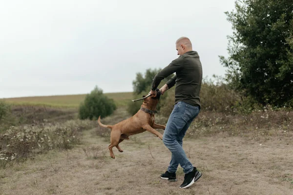 İnsan doğada köpeği eğitir. İnsan ve köpek. Köpekli adam. Yüksek kalite fotoğraf