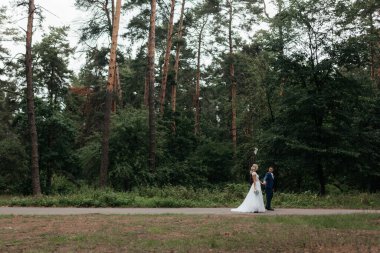 Gelin ve damat çam ağaçlarının arkasındaki parkta yürüyor. Yeni evlilerin portresi