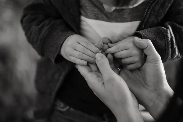 Κλείστε Χέρια Της Μητέρας Κρατώντας Μικρά Χέρια Του Μικρού Γιου — Φωτογραφία Αρχείου