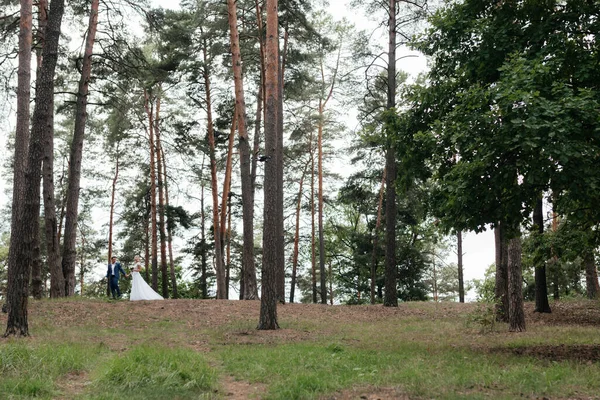 Νύφη Και Γαμπρός Περπατούν Ανάμεσα Στα Πεύκα Νεόνυμφο Πορτρέτο — Φωτογραφία Αρχείου