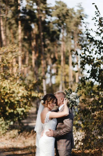 Novia Novio Abrazándose Fondo Los Árboles Bosque Retrato Novia Novio — Foto de Stock