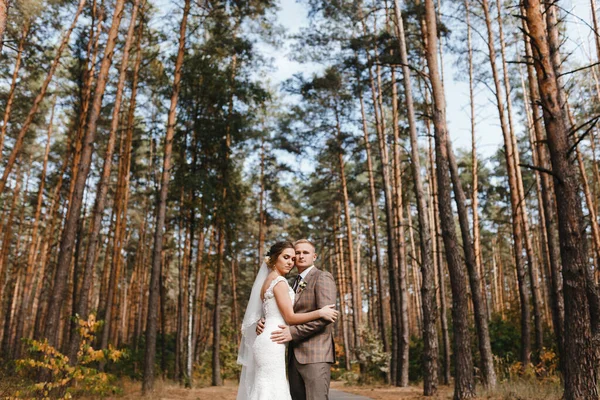 Novia Vestido Novia Velo Novio Traje Cuadros Fondo Los Pinos — Foto de Stock