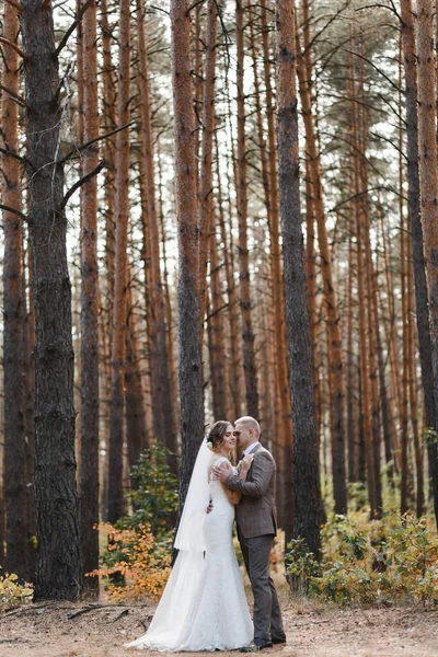 Novia Carreras Novio Fondo Los Pinos Retrato Novia Novio Fotografía — Foto de Stock