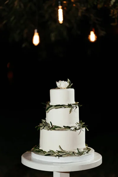 Pastel de boda minimalista de tres niveles decorado con hojas verdes, pastel en la boda — Foto de Stock