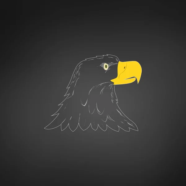 American Bald Eagle o Hawk Head Mascot Graphic, lato rivolto verso l'uccello. Grafica delle magliette. Illustrazione vettoriale isolata su sfondo bianco — Vettoriale Stock