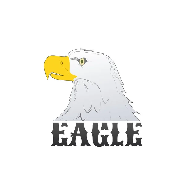 American Bald Eagle или Hawk Head Mascot Graphic, Bird facing side. Графика футболок. Векторная иллюстрация на белом фоне — стоковый вектор