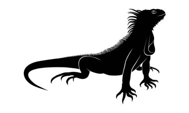 Simge iguana. Düz sembolü iguana. Beyaz arka planda siyah izole işareti iguana. Vektör çizim