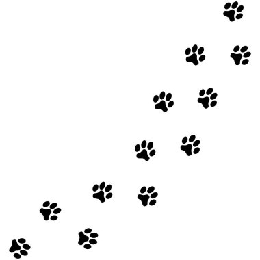 Siyah köpek pati izlerini beyaz arka plan üzerinde izole. Vektör çizim.