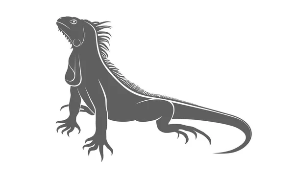 Simge Iguana Düz Sembolü Iguana Beyaz Arka Planda Gri Izole — Stok Vektör