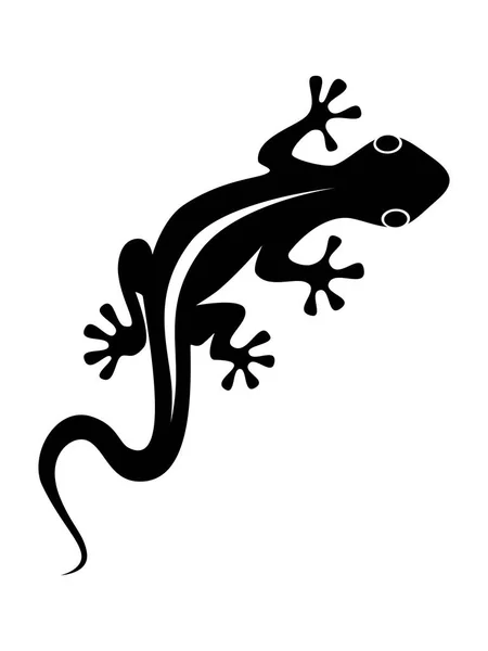抽象黑色符号或符号蜥蜴查出的白色背景 平面图标向量例证 — 图库矢量图片