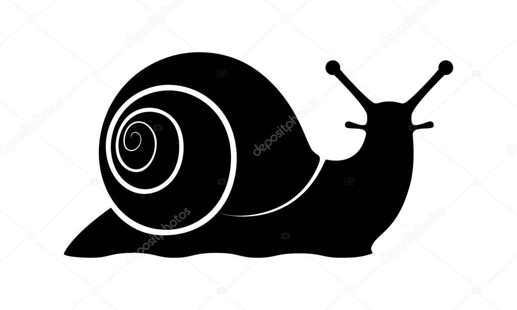 Sign snail. Snail symbol. Isolated black silhouette snail on white background. Icon snail. Vector illustration