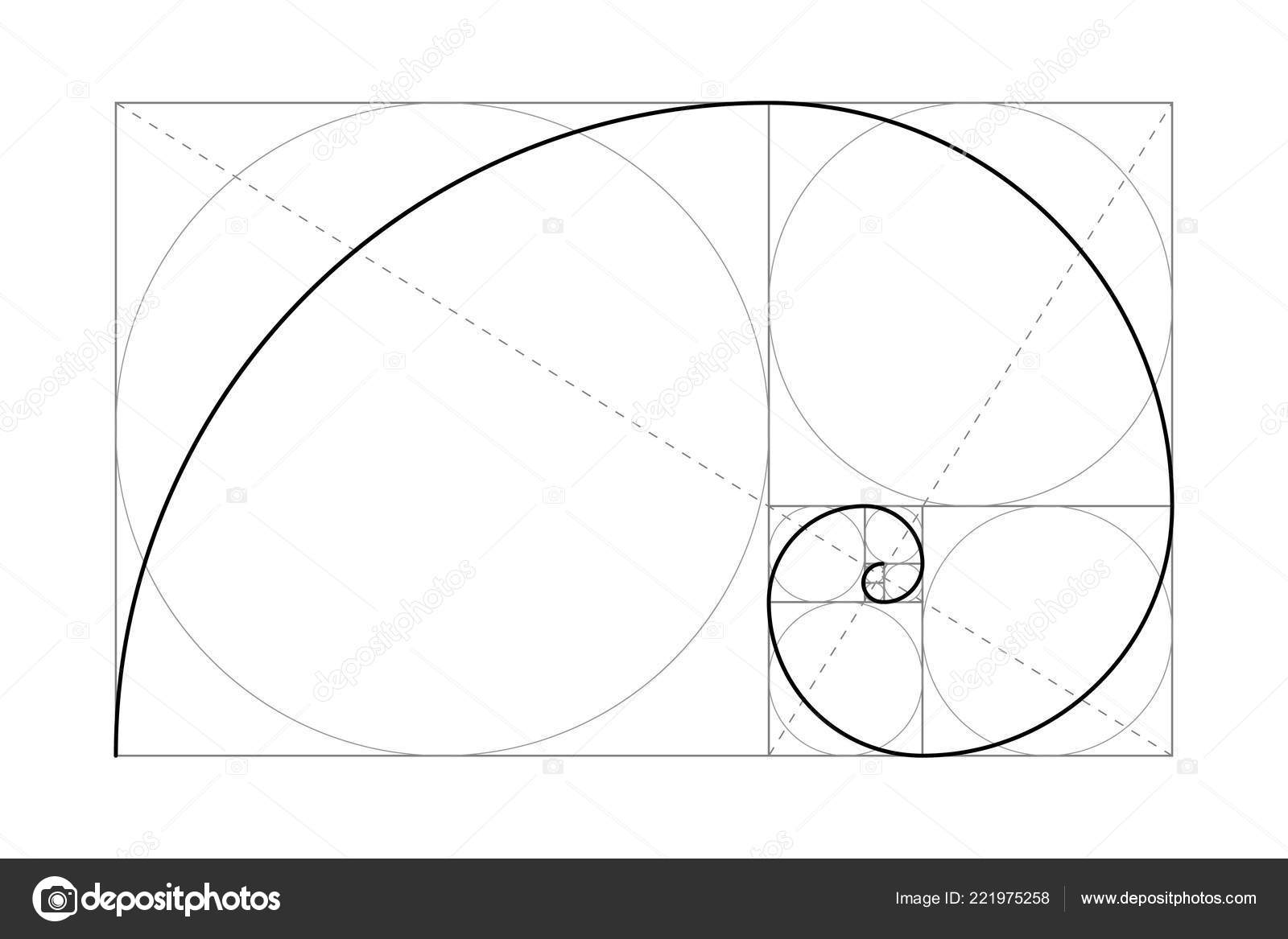黄金比例斐波那契数圆圈在黄金比例几何形状抽象向量背景图库矢量图©Archivector 221975258