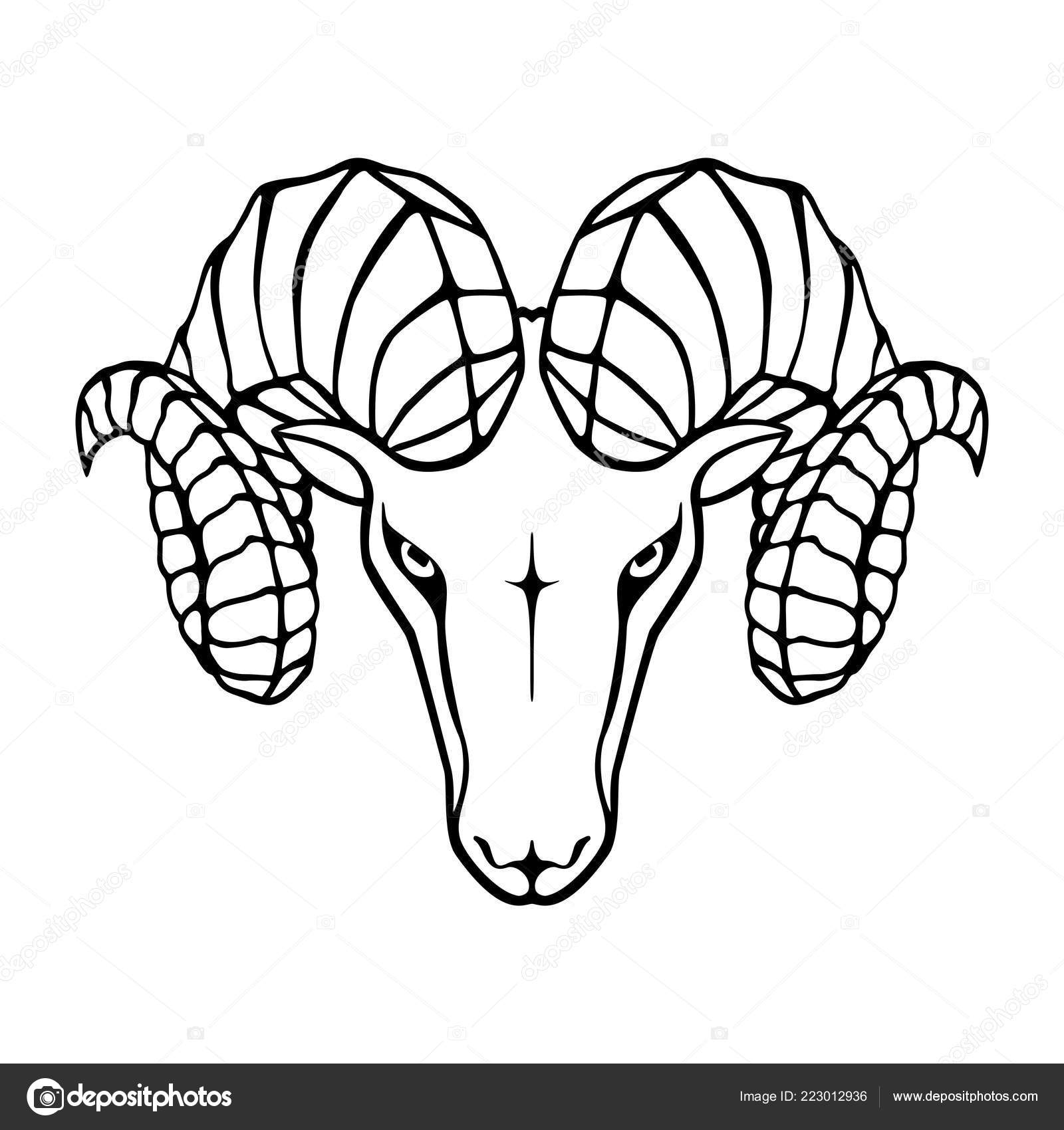 Icon Aries Symbol Argali Black Sign Head Ram Isolated White Stock Vector  Image by ©Archivector #223012936