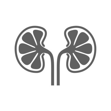 Simge insan organ böbrekler. İnsan böbrekler imzala. Beyaz arka plan üzerinde izole sembolü böbrek. Hisse senedi vektör çizim