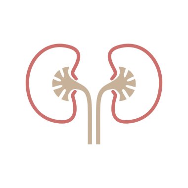 Simge insan organ böbrekler. İnsan böbrekler imzala. Beyaz arka plan üzerinde izole sembolü böbrek. Hisse senedi vektör çizim