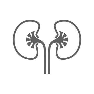 Simge insan organ böbrekler. İnsan böbrekler imzala. Beyaz arka plan üzerinde izole sembolü böbrek. Hisse senedi vektör çizim