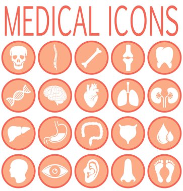 Tıbbi sağlık. İnsan Tıp araştırma. Soyut insan organları ve vücut parçaları ile tıbbi Icons set. Sağlık Infographic izole işaretlere. Vektör çizim