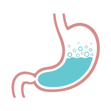 Mide simgesi. Mide gazı, gastrik asit. Beyaz arka plan izole tıbbi sembolü. Vektör çizim