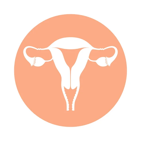 Icon Female Reproductive Organs Uterus Sign Rose Circle Isolated White — Stock Vector