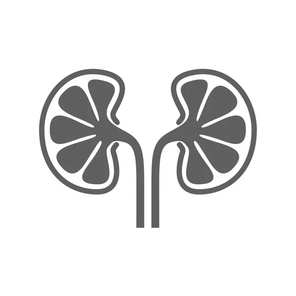 アイコン人間器官腎臓 人間の腎臓を署名します 白い背景の上のシンボルの腎臓を分離しました 株式ベクトル図 — ストックベクタ