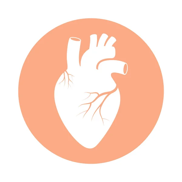 Assina Coração Coração Símbolo Órgão Humano Coração Ícone Isolado Círculo —  Vetores de Stock