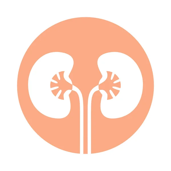 Sign Human Kidneys Icon Kidneys Rose Circle Isolated White Background — Stock Vector