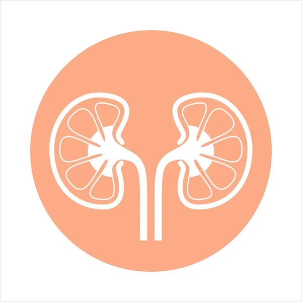 Sign Human Kidneys Icon Kidneys Rose Circle Isolated White Background — Stock Vector