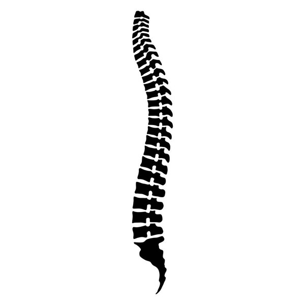 Human spine sign. Black icon spine isolated on white background. Human spinal column symbol. Stock vector illustration. 