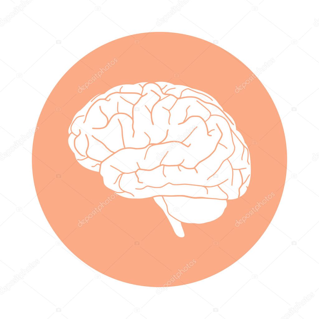 Sign human brain. Icon brain in rose circle isolated on white background. Vector illustration 