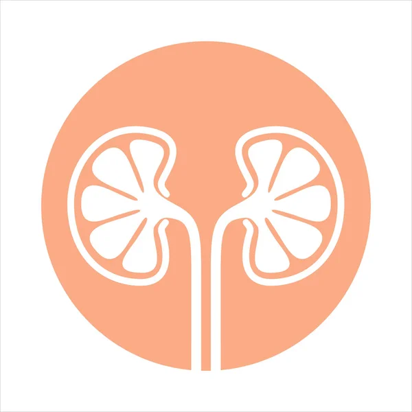 Sign Human Kidneys Icon Kidneys Rose Circle Isolated White Background — Stock Vector