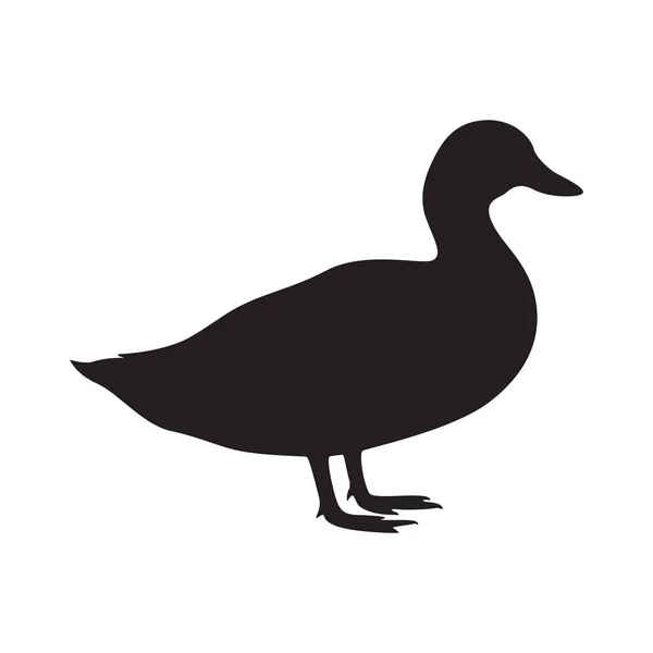 Sign Duck Isolated Black Silhouette Duck White Background Vector Illustration — Stock Vector