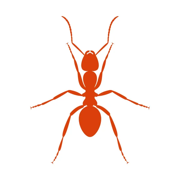 Sgn Ant シルエット 蟻のシルエットを分離に白い背景を閉じます ベクトル図 — ストックベクタ
