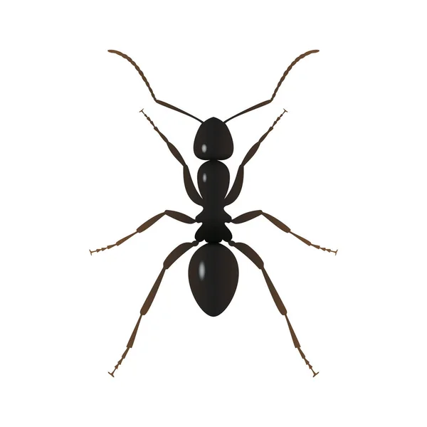 Ant Teken Ant Close Geïsoleerd Witte Achtergrond Vectorillustratie — Stockvector