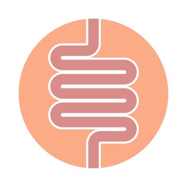 Bağırsak insan kutsal kişilerin resmi. Beyaz zemin üzerinde bir dairede izole tıbbi sembolü. Vektör çizim