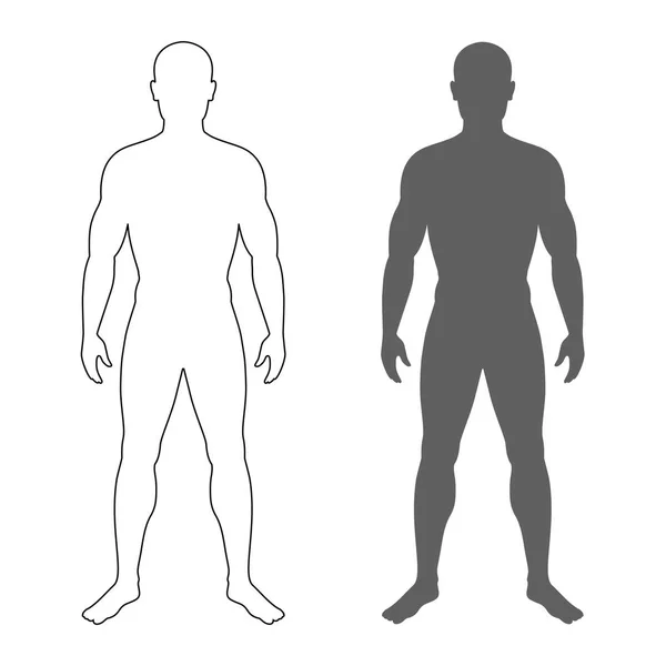 Männliche Menschliche Körpersilhouette Und Kontur Isolierte Herrensymbole Auf Weißem Hintergrund — Stockvektor