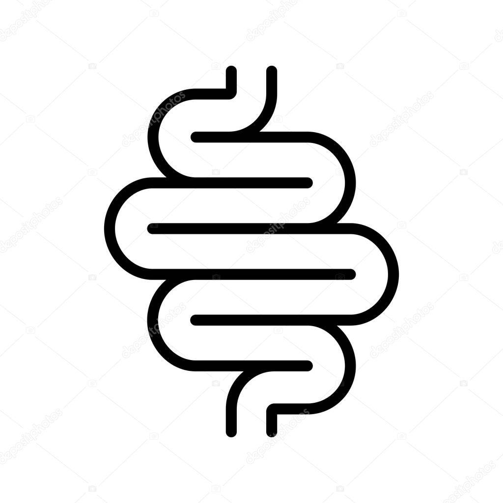 Intestine human icon. Isolated medical symbol on white background. Vector illustration
