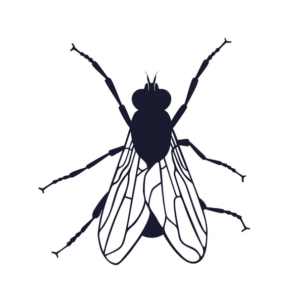 Signo de mosca — Vector de stock