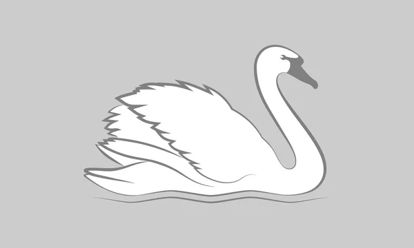 Cisne blanco — Vector de stock