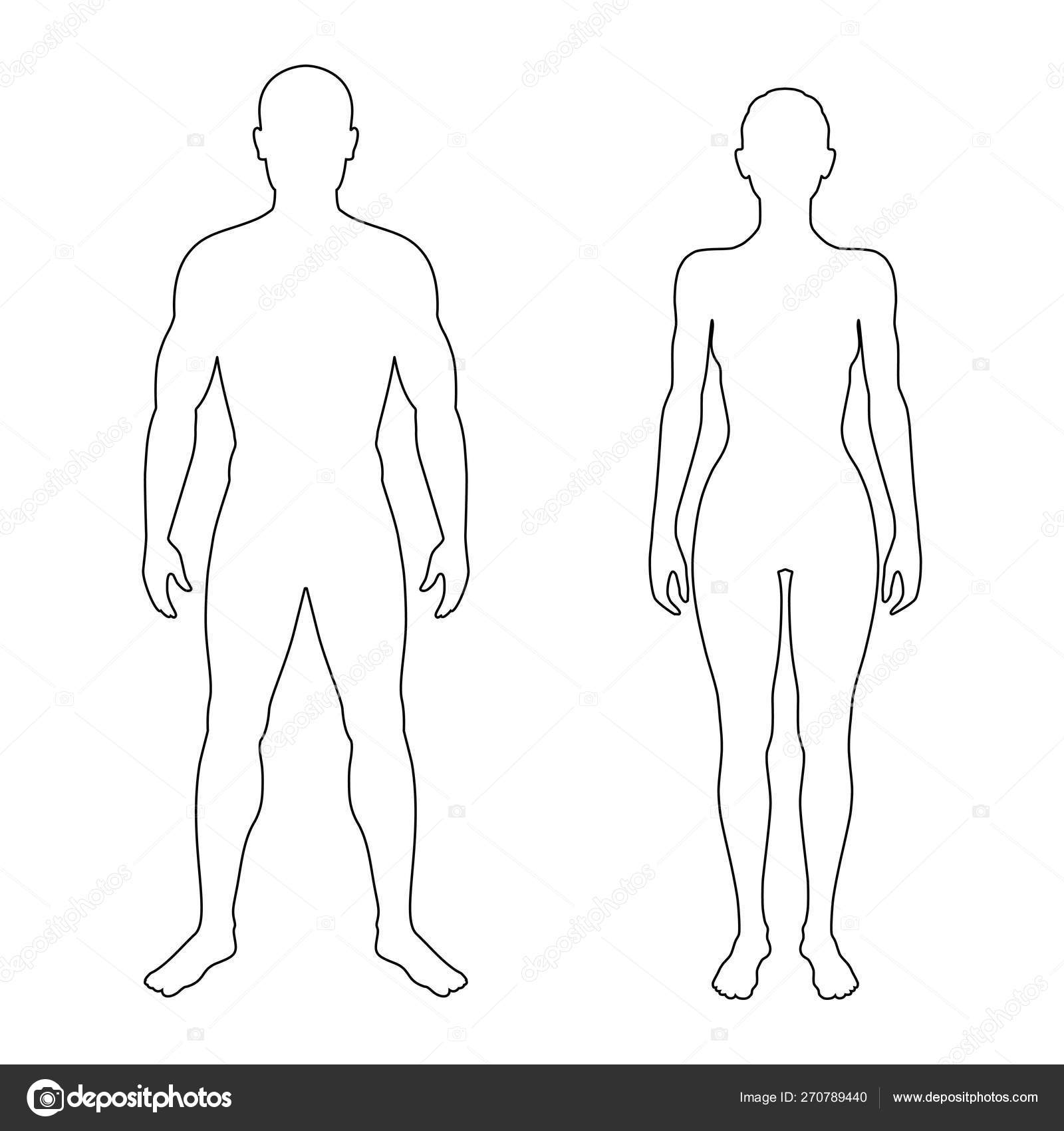 Man woman contour bodies pointers and body parts Vector Image